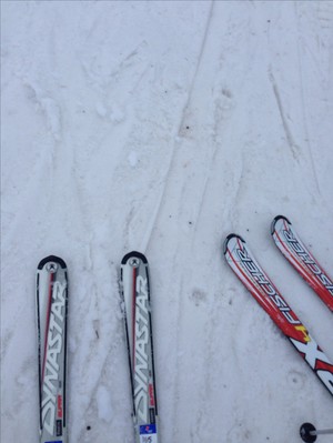 skidor