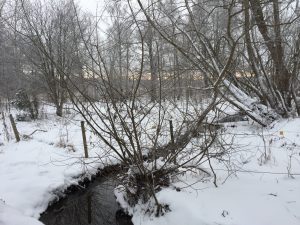 IMG_7039