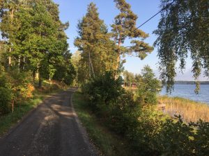 IMG_8472